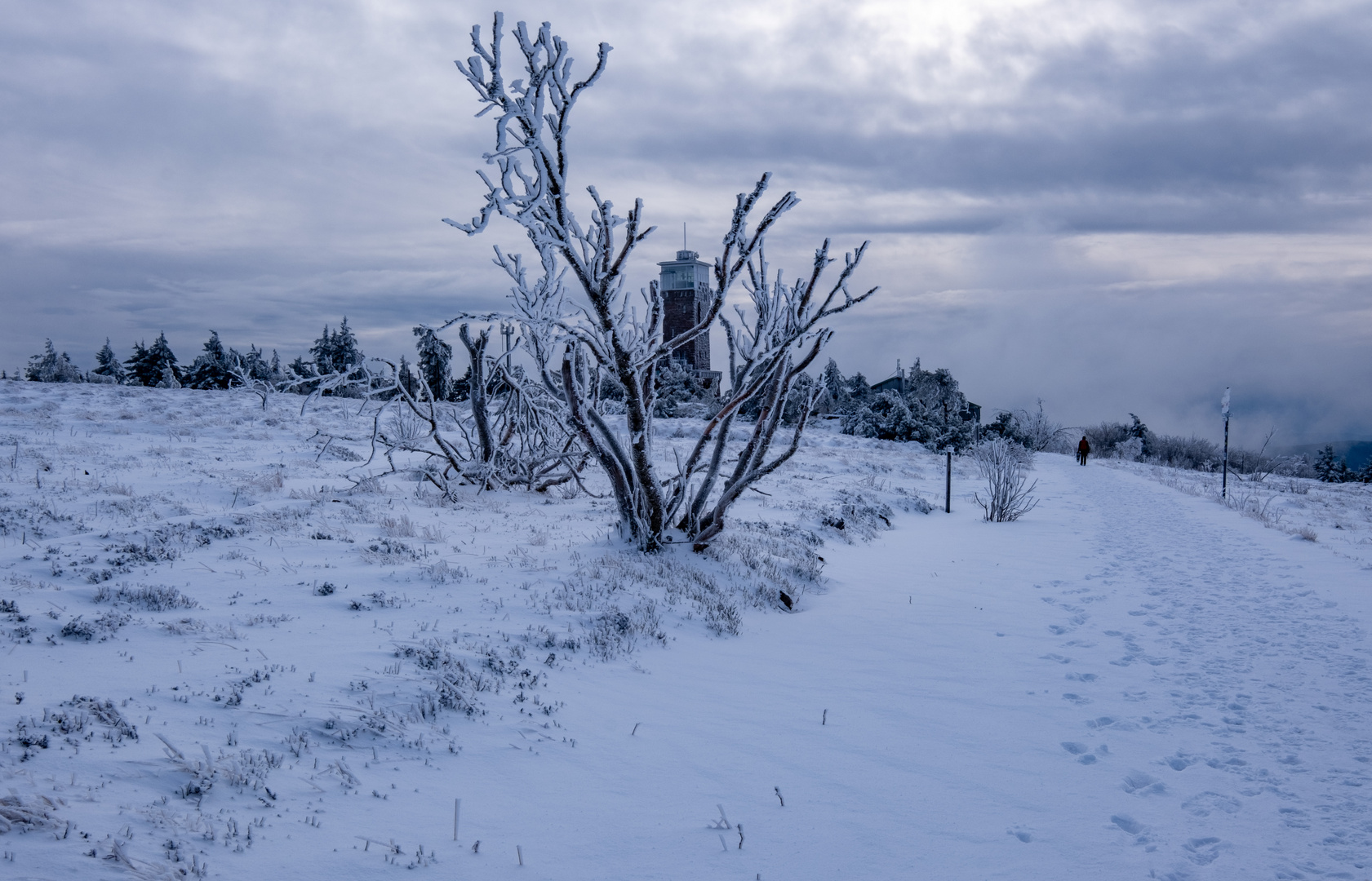 Auf der Hornisgrinde