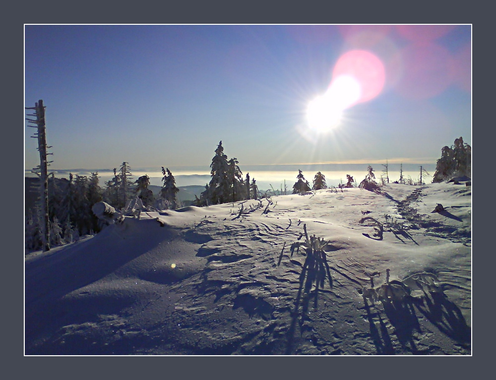 Auf der Hornisgrinde