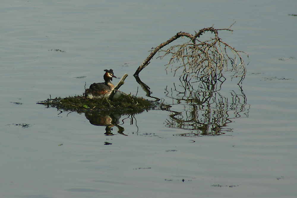 Auf der Insel...