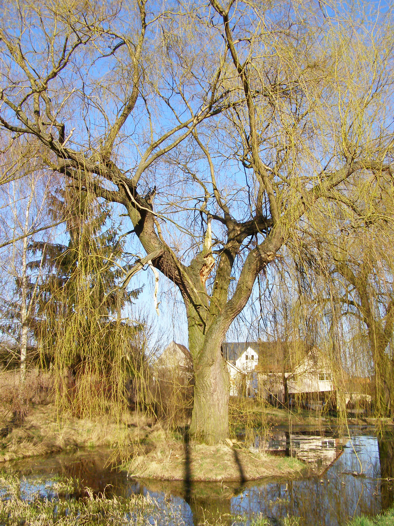 Auf der Insel