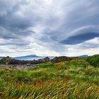 Auf der Insel Easdale