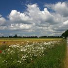 auf der Insel Langeland