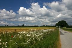 auf der Insel Langeland