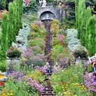 ....auf der Insel Mainau