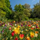 Auf der Insel Mainau 1