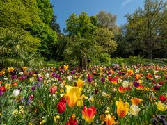 Auf der Insel Mainau 1