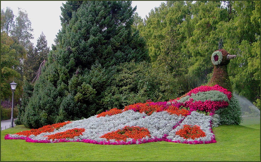 Auf der Insel Mainau