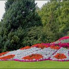 Auf der Insel Mainau