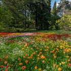 Auf der Insel Mainau 3