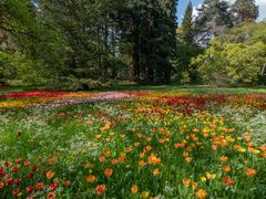 Auf der Insel Mainau 3