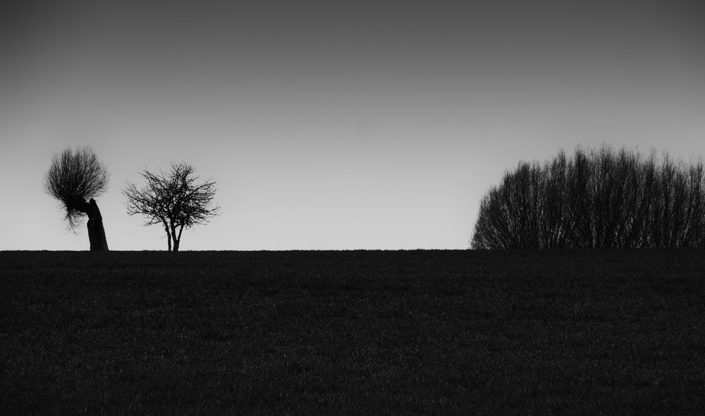 auf der insel poel im april .