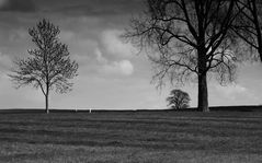 auf der insel poel im april ...