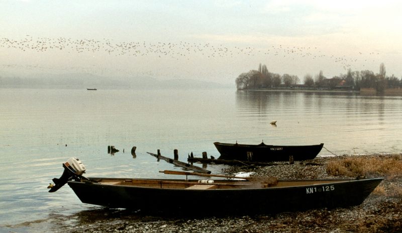 auf der Insel Reichenau