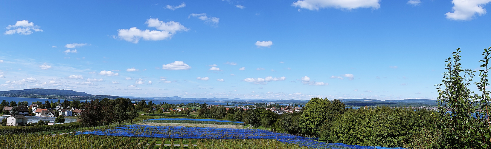 auf der Insel Reichenau