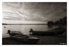 Auf der Insel Reichenau