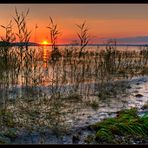 Auf der Insel Reichenau