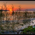 Auf der Insel Reichenau