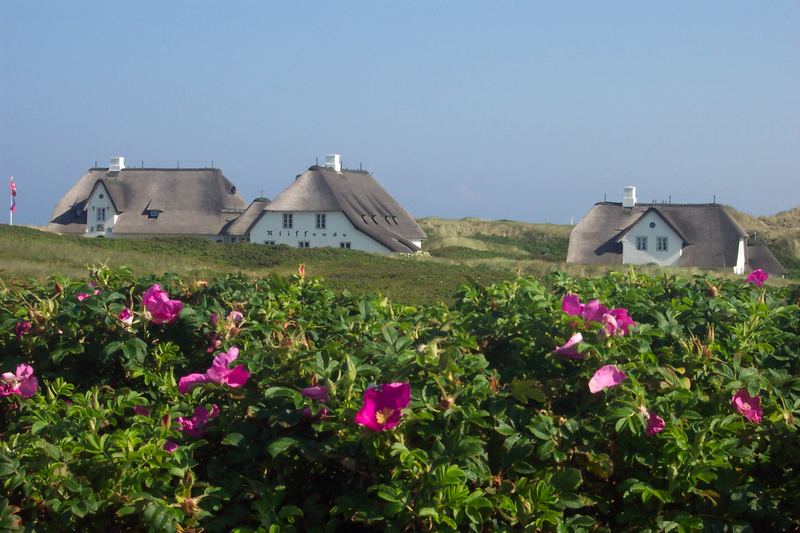 Auf der Insel Sylt