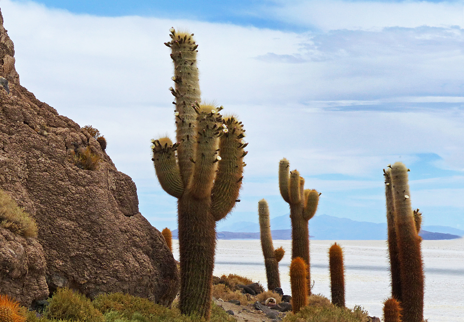 Auf der Isla Incahuasi