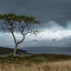 auf der Isle of Skye