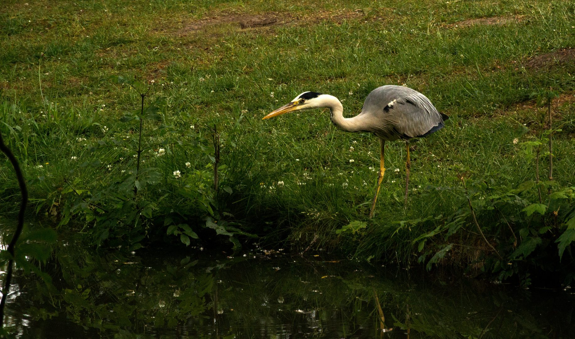 Auf der Jagd