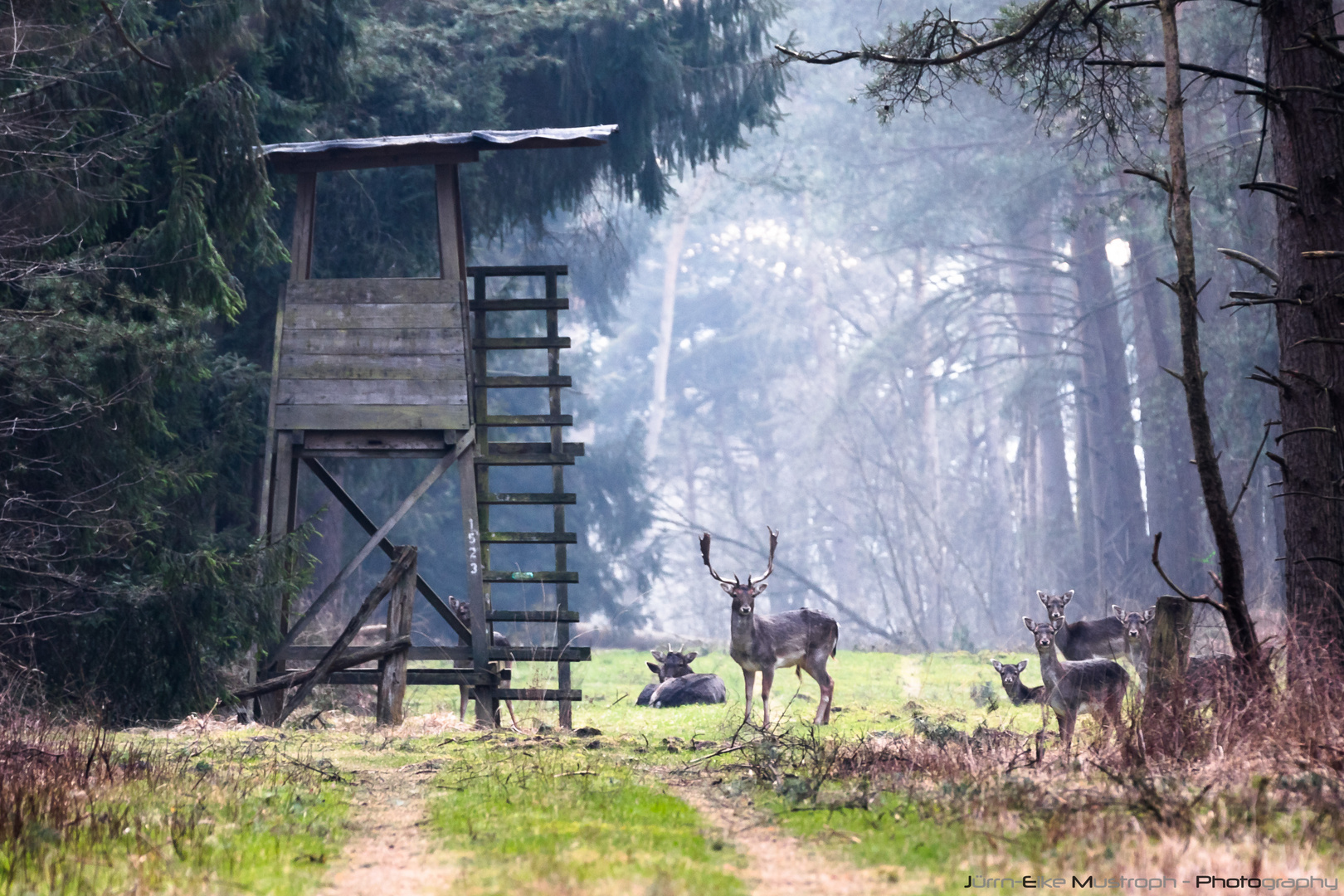 Auf der "Jagd"