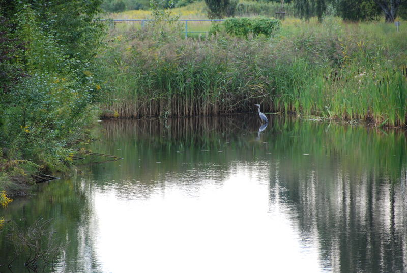 Auf der Jagd