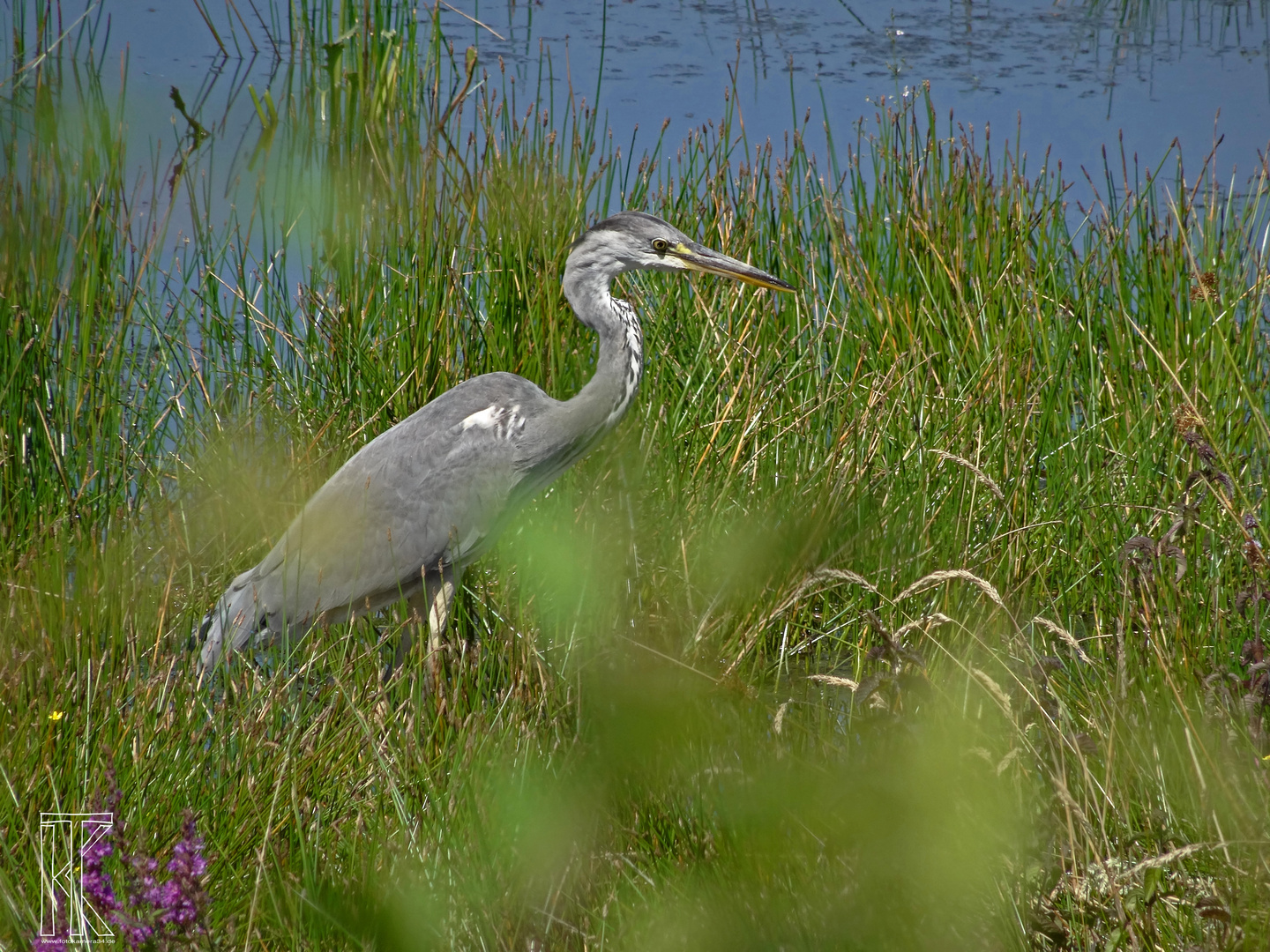 Auf der Jagd