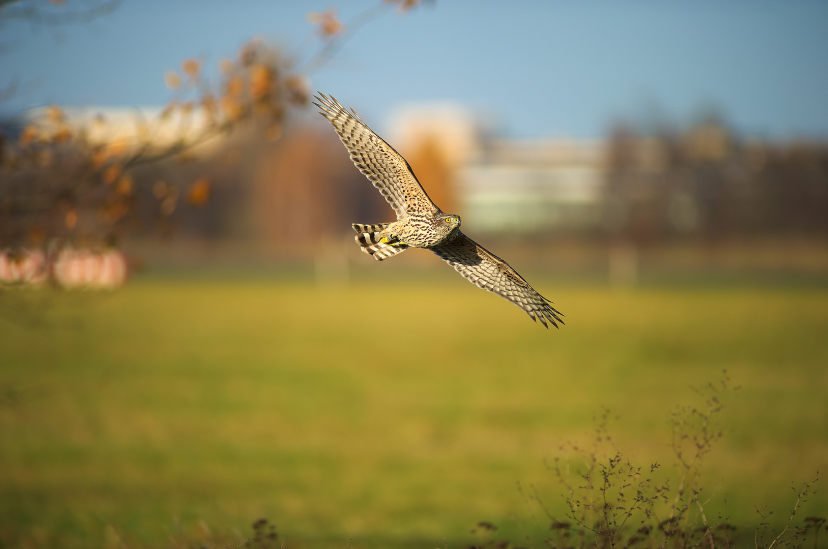 auf der Jagd