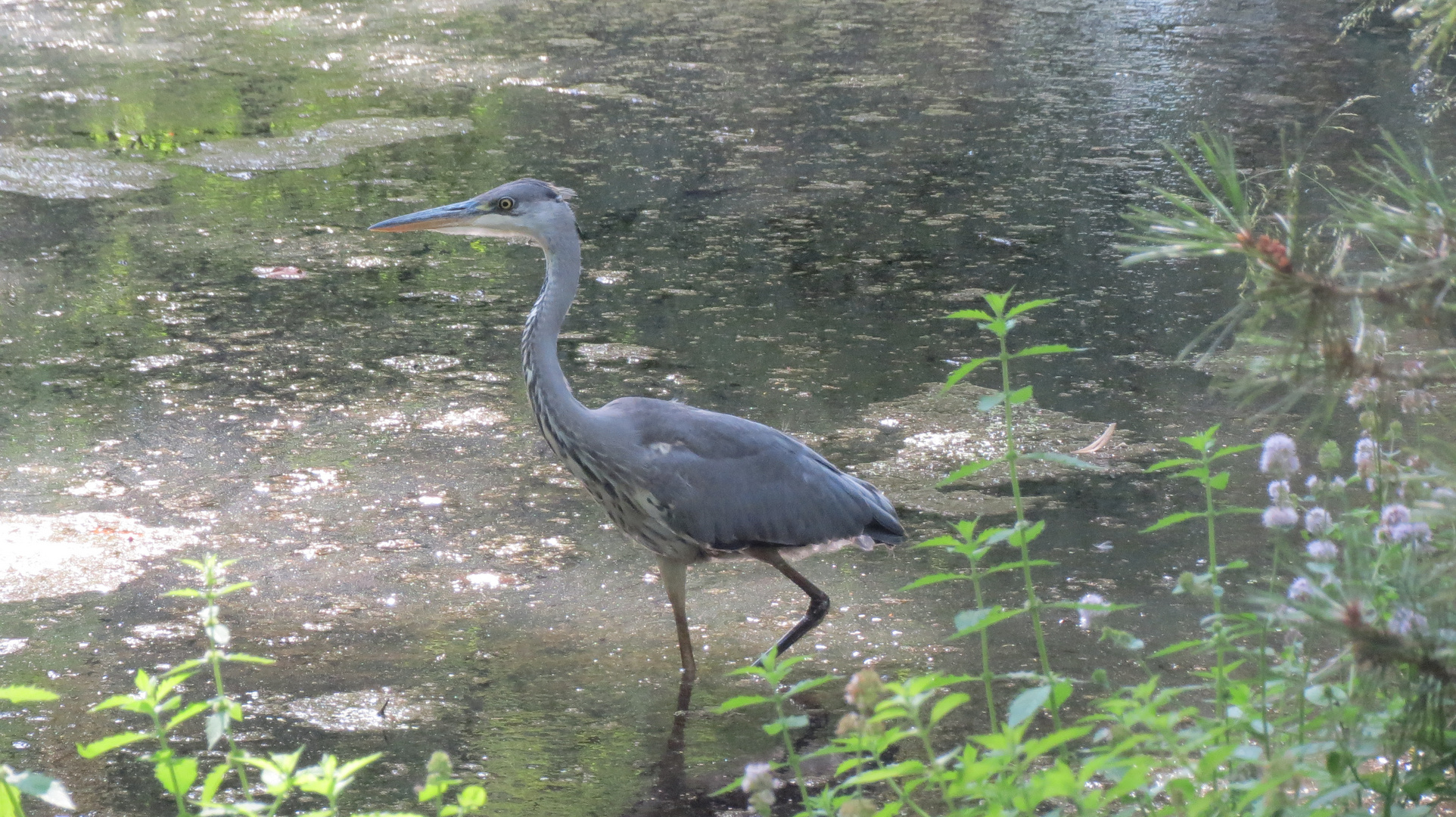 Auf der Jagd