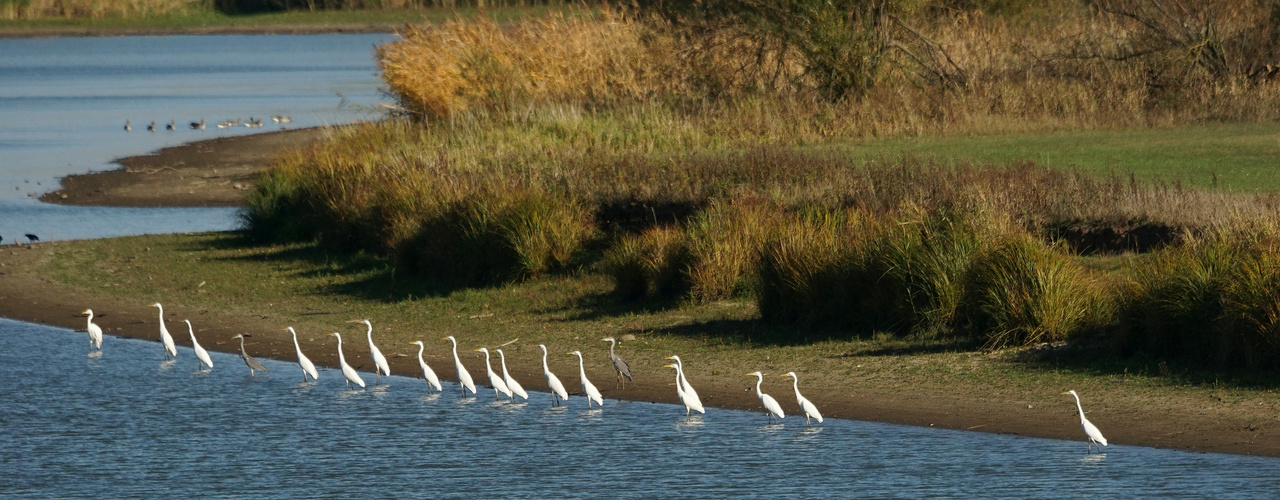 Auf der Jagd