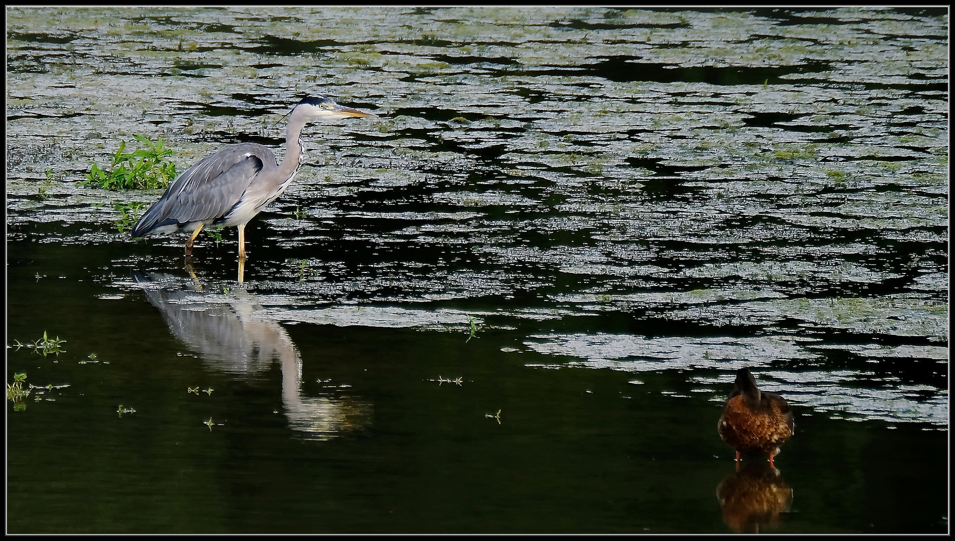 Auf der Jagd