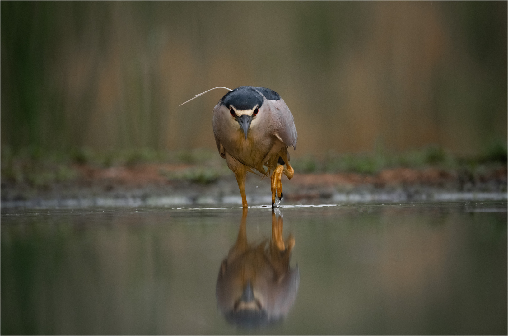 Auf der Jagd