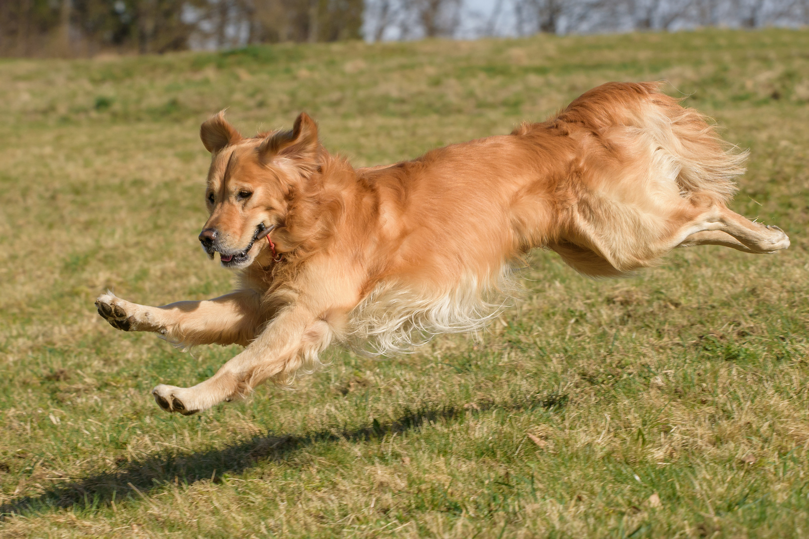 Auf der Jagd nach dem Dummy