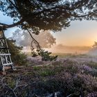 Auf der Jagd nach dem Licht