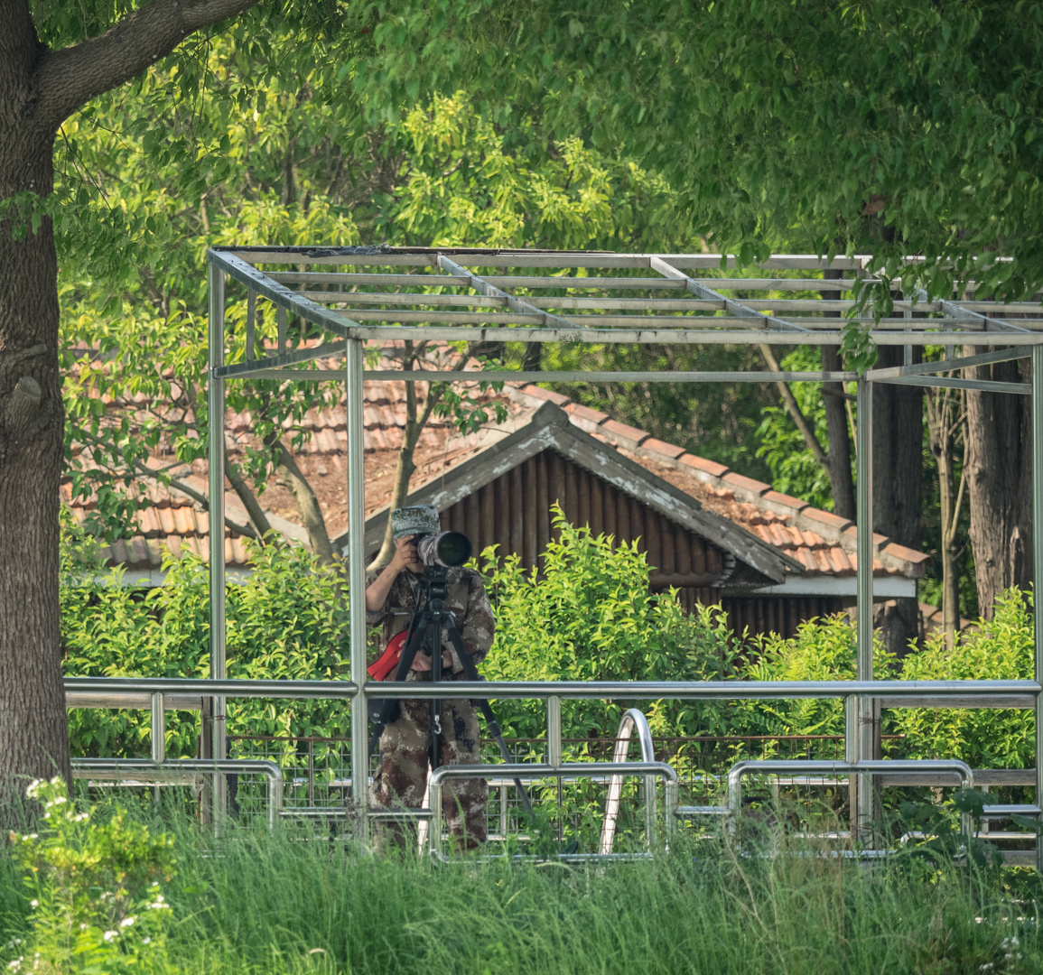 Auf der Jagd - nach dem richtigen Bild