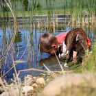 Auf der Jagd nach Kaulquappen