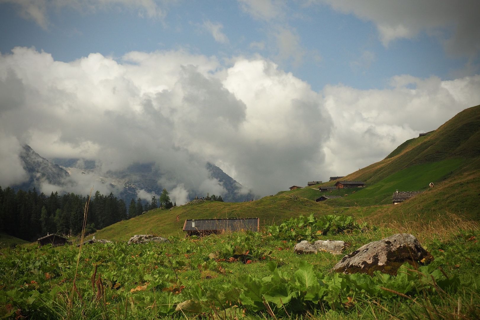 Auf der Kallbrunnalm