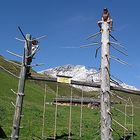 Auf der Kammertling Alm