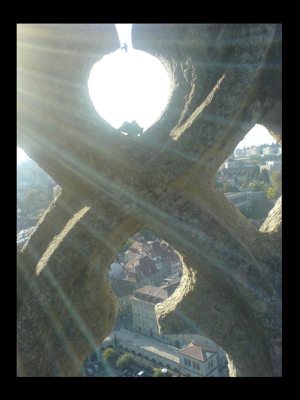 Auf der Kathedrale in Fribourg