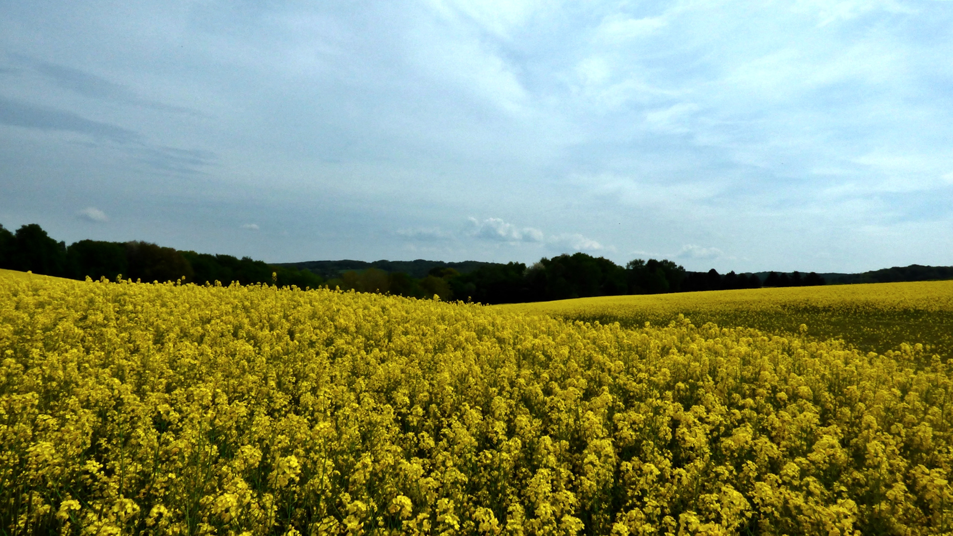 Auf der Kleinen Höhe 