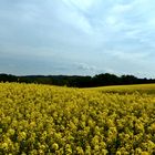 Auf der Kleinen Höhe 