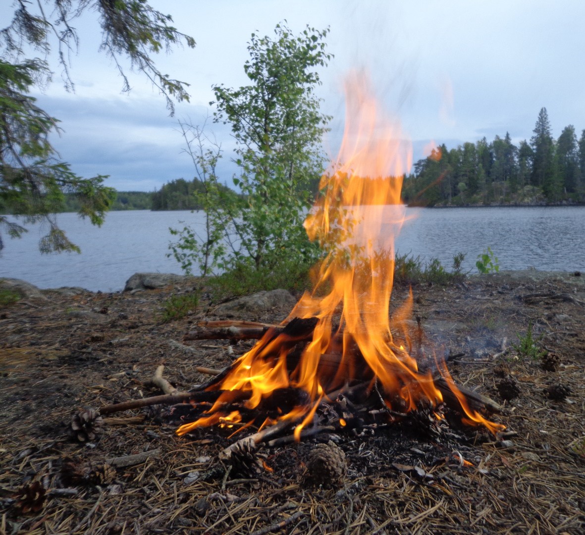 ...auf der kleinen Insel - kleines Feuer