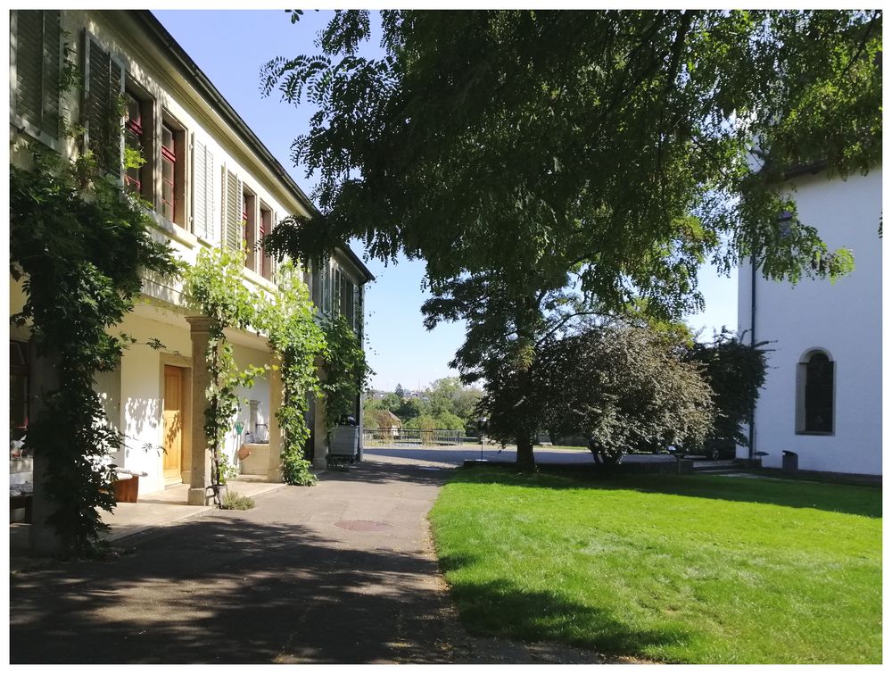 Auf der Klosterinsel Wettingen