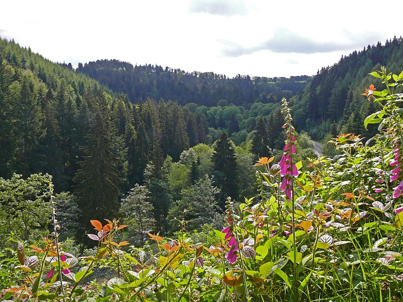 auf der Klosterroute