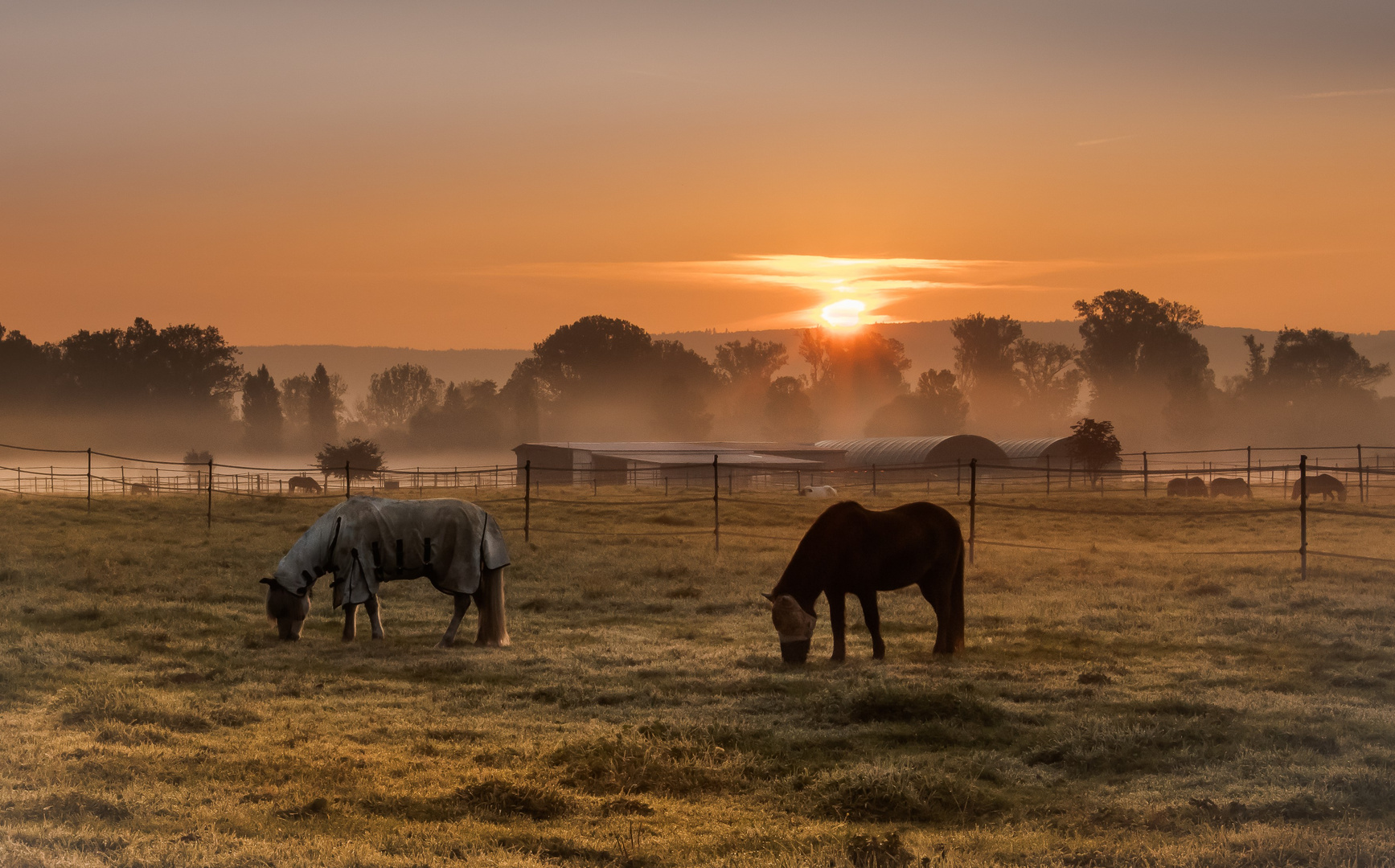 Auf der Koppel Foto & Bild spezial, outdoor, bäume Bilder auf