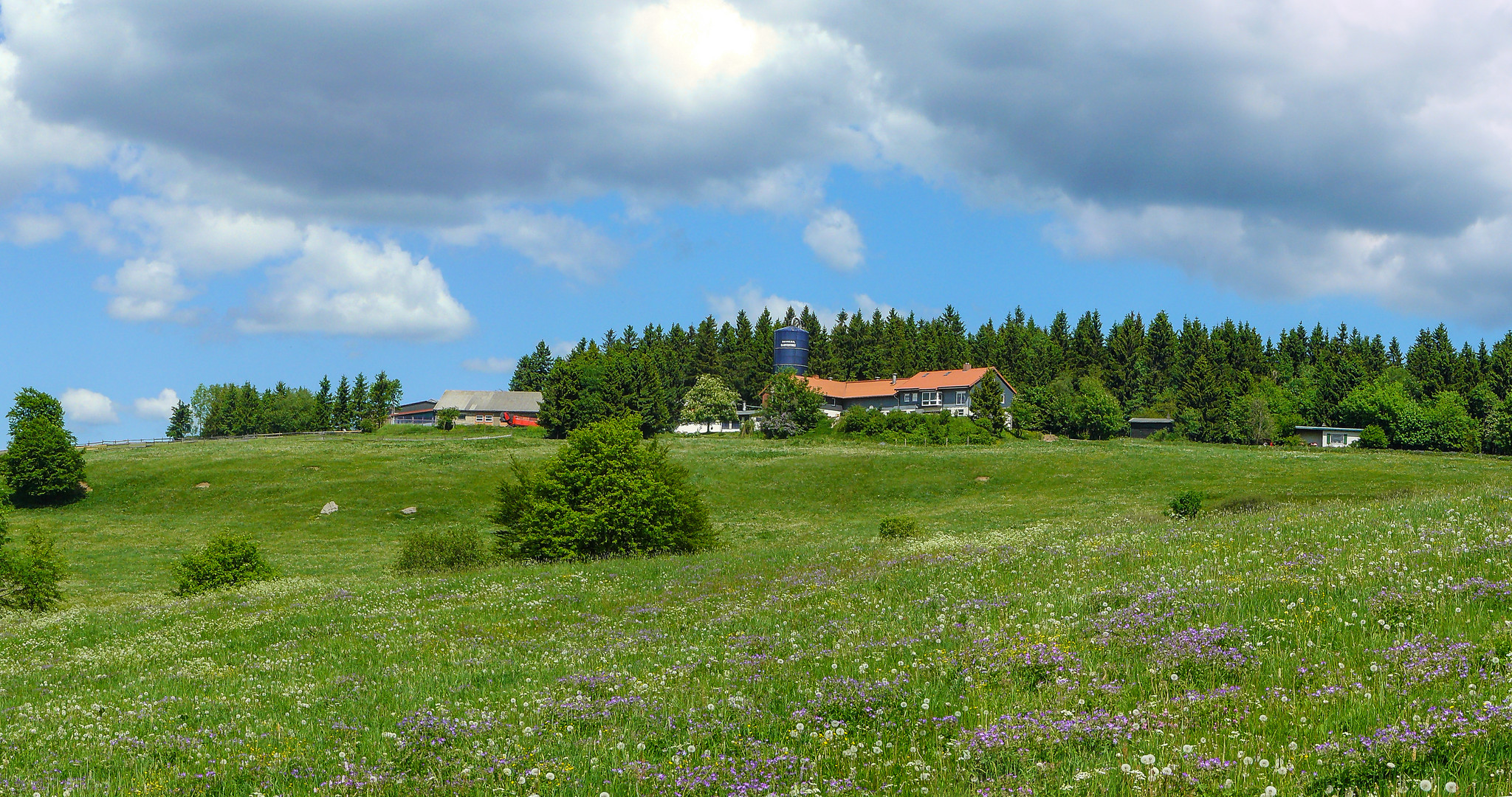 Auf der Kuppe