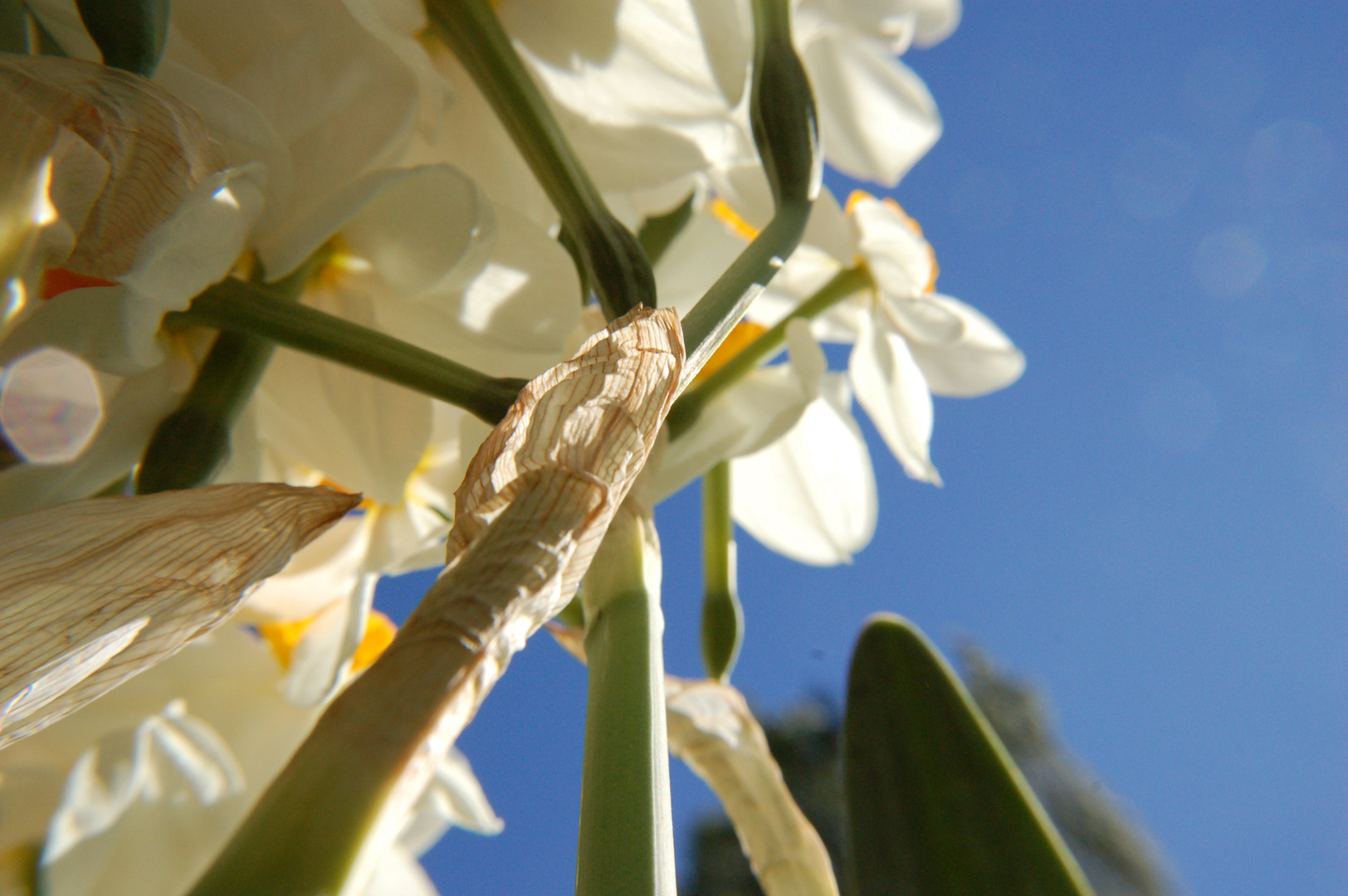 Auf der Landesgartenschau in Norderstedt