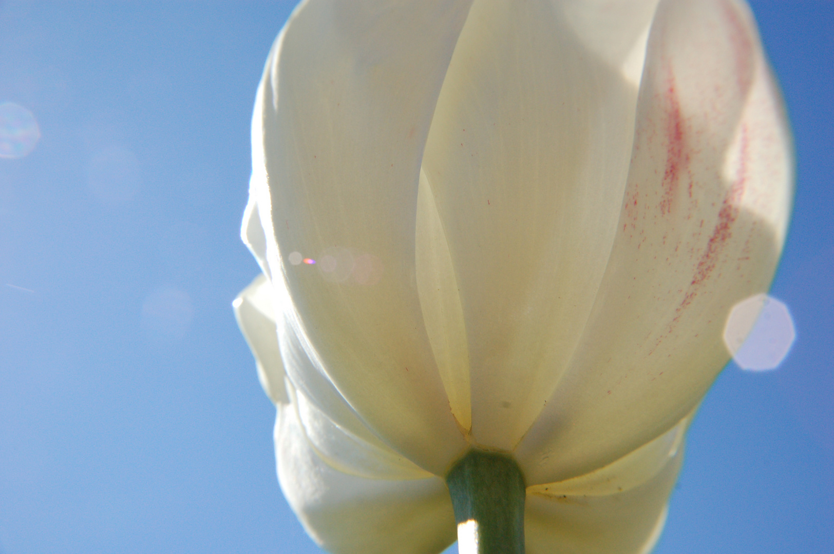 Auf der Landesgartenschau in Nordestedt