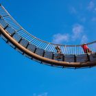 auf der Landmarke - Tiger and Turtle